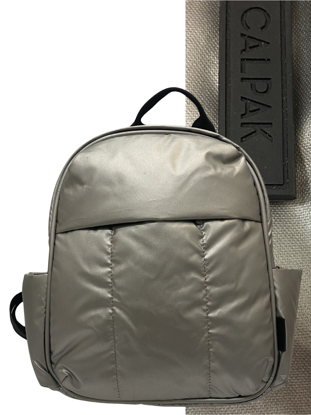 Cal park Silver Mini Backpack with travel sleeve